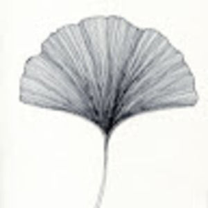 Meet your Posher, Alice